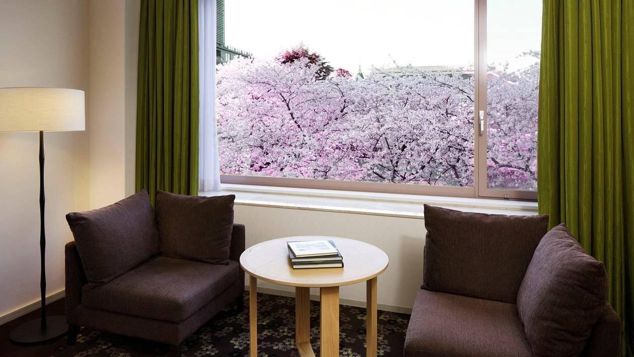 ホテルの窓辺に広がる満開の桜。